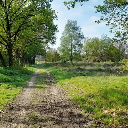 De Kleine Vos Elspeet