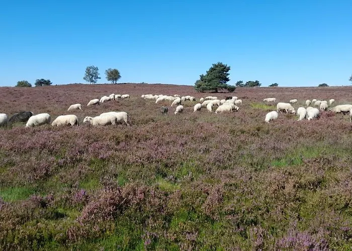 Bed and breakfast De Kleine Vos