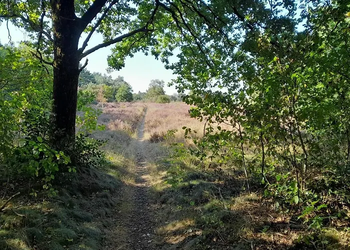 De Kleine Vos 3* Elspeet