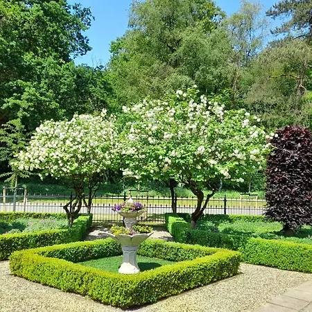 De Kleine Vos 3* 埃尔斯佩特