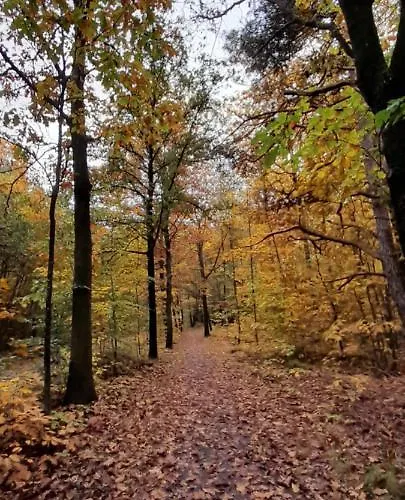 Oda ve Kahvaltı De Kleine Vos Elspeet