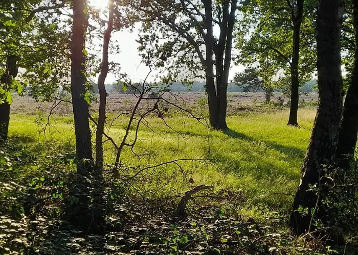 De Kleine Vos Oda ve Kahvaltı