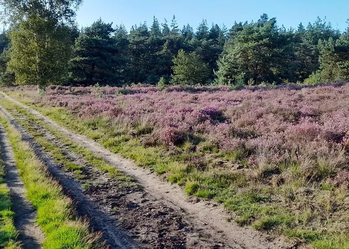 De Kleine Vos Elspeet