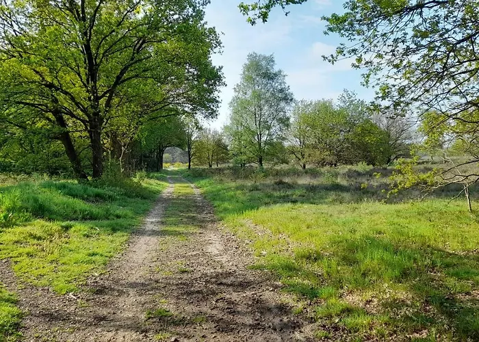 De Kleine Vos Elspeet